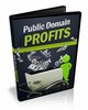 Thumbnail Public Domain Profits 