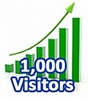 Thumbnail 1,000 Visitors In One Month 