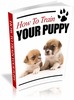 Thumbnail How To Train Your Puppy