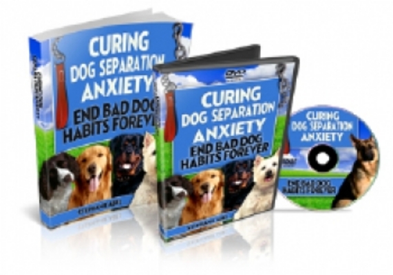 Product picture Curing Dog Separation Anxiety