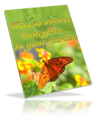 Product picture How To Attract Butterflies To Your Garden