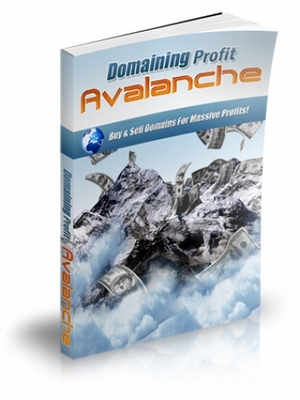 Product picture Domaining Profits Avalanche
