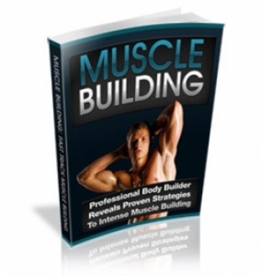 Product picture Muscle Building